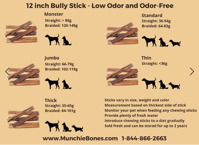 12″- Bully Stick – Low Odor – MONSTER