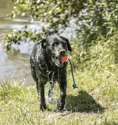 Herm Sprenger FUN BALL
