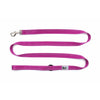 RC Dog Leash Primary Mulberry