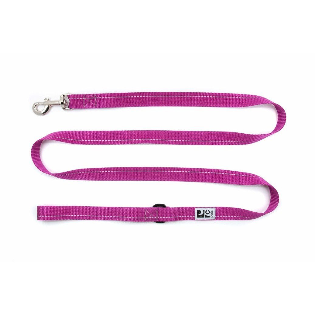 RC Dog Leash Primary Mulberry