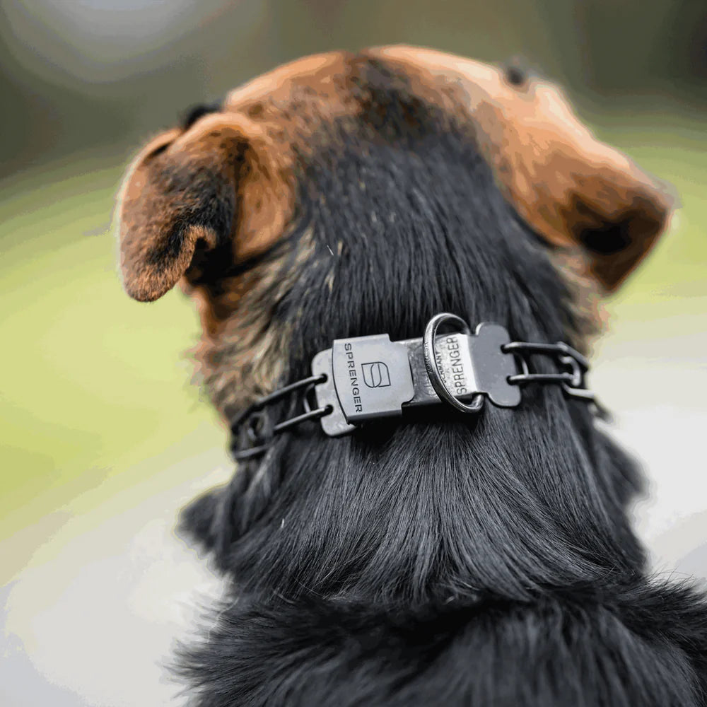 2.25 ULTRA-PLUS Training Collar with Center-Plate and ClicLock - Stainless steel black