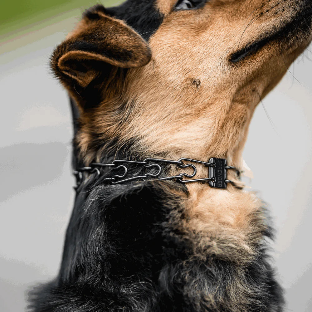 2.25 ULTRA-PLUS Training Collar with Center-Plate and ClicLock - Stainless steel black