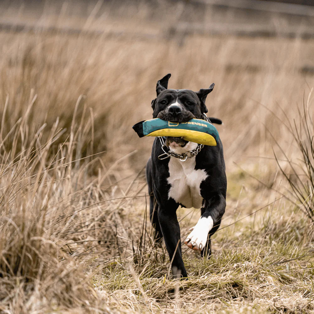 Dog Toy Soft Bite Tug M