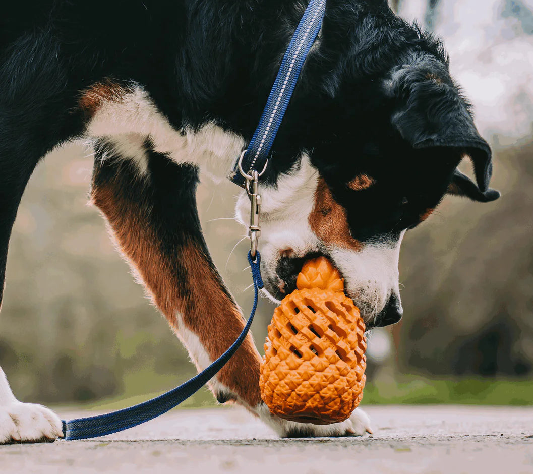 Dog toy FRUIT CHALLENGE - "Pineapple" (L)