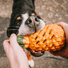 Dog toy FRUIT CHALLENGE - "Pineapple" (L)