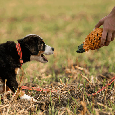 Dog toy FRUIT CHALLENGE - "Pineapple" (L)