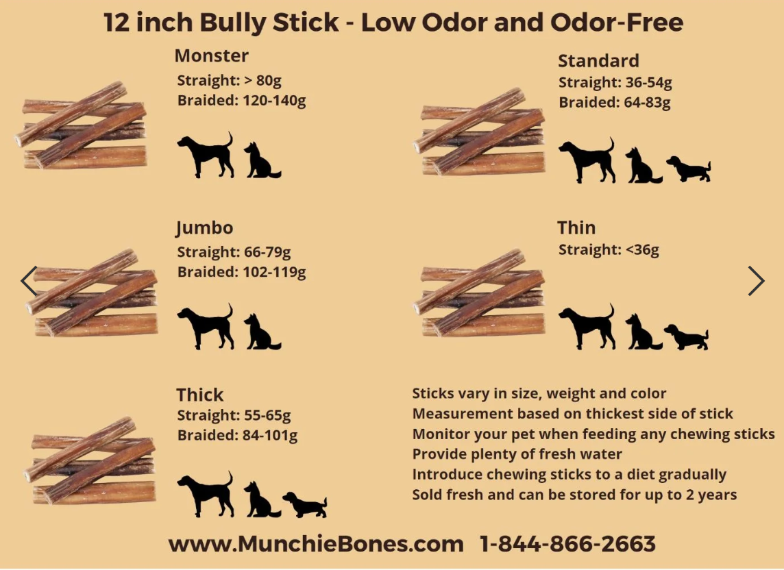 12″- Bully Stick – Low Odor – MONSTER
