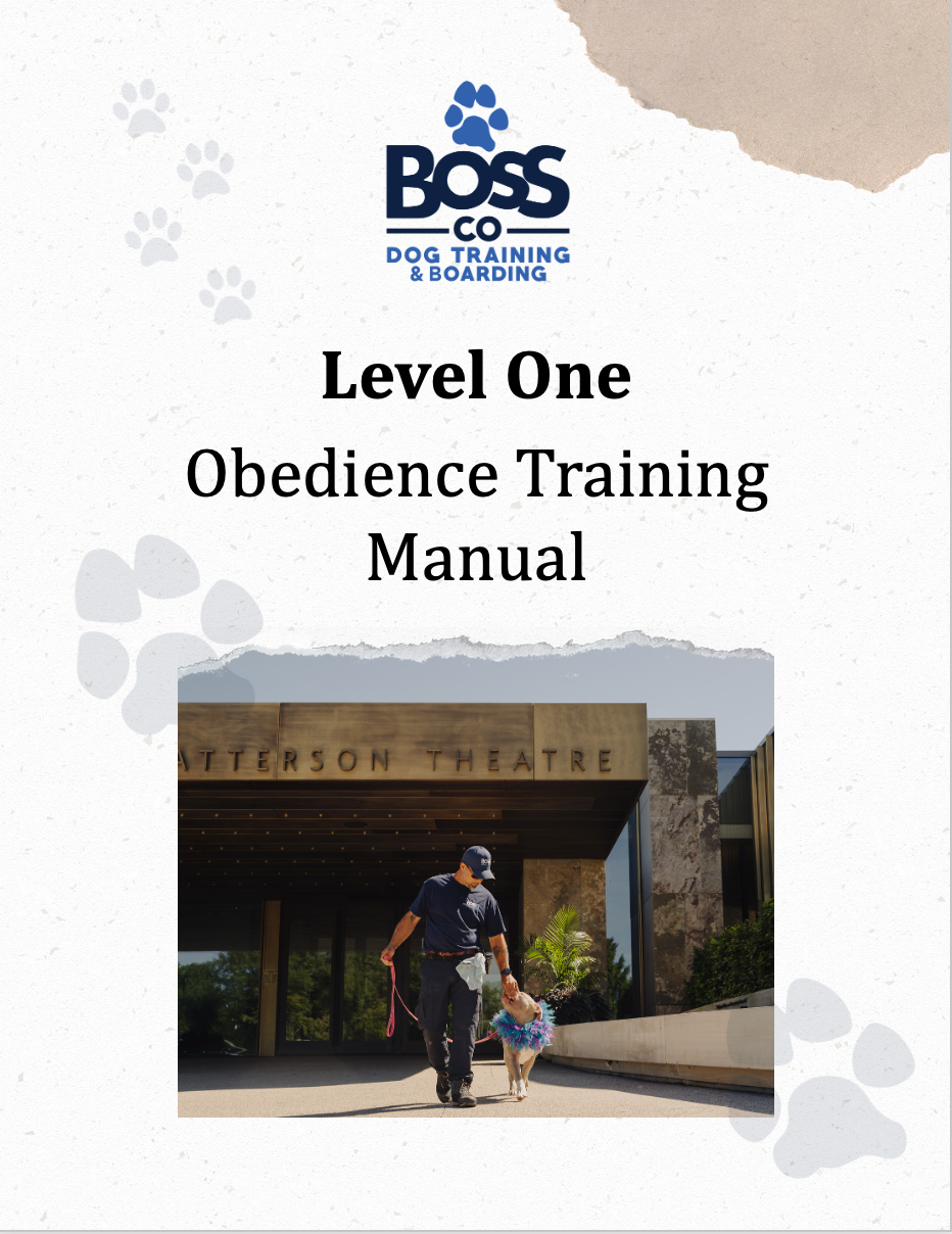 Boss Co Dog Training Programs