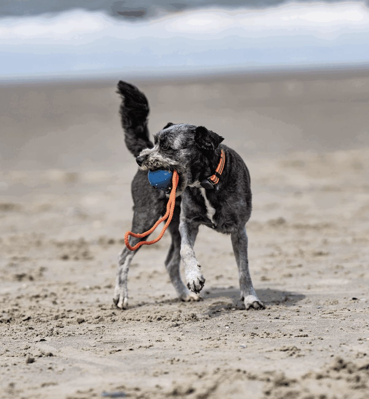 Herm Sprenger RUBBER BALL