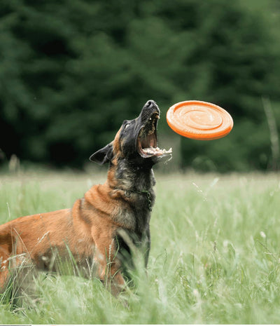 Herm Sprenger DOG TOY FLYING DISK