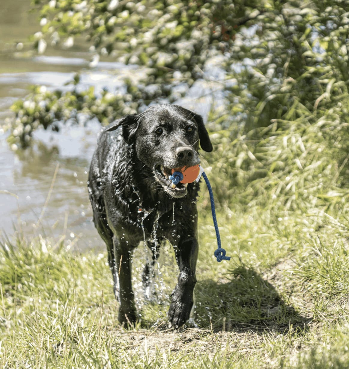 Herm Sprenger FUN BALL