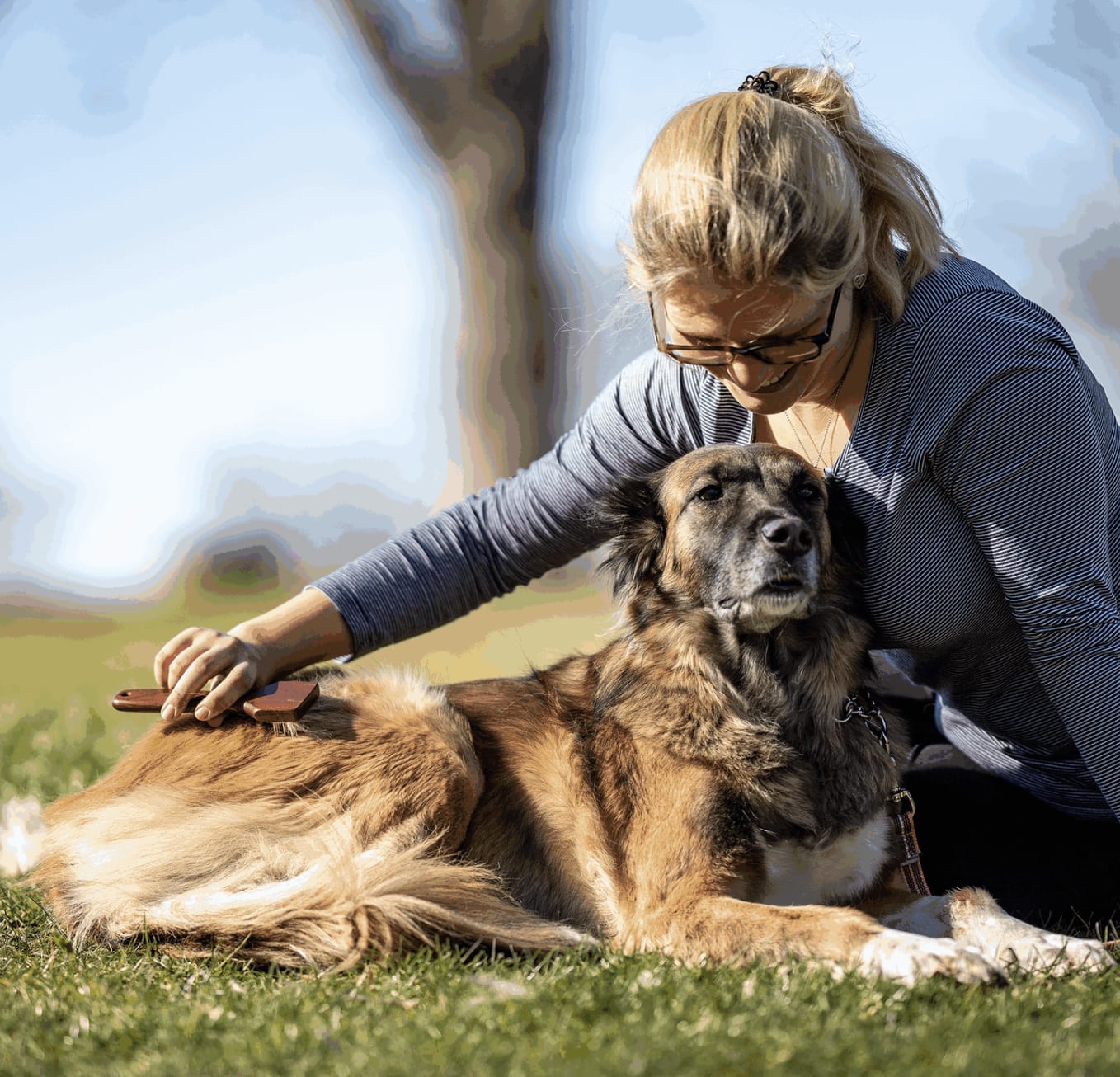 Herm Sprenger Dog rake - 3-rows, 20 mm steel teeths