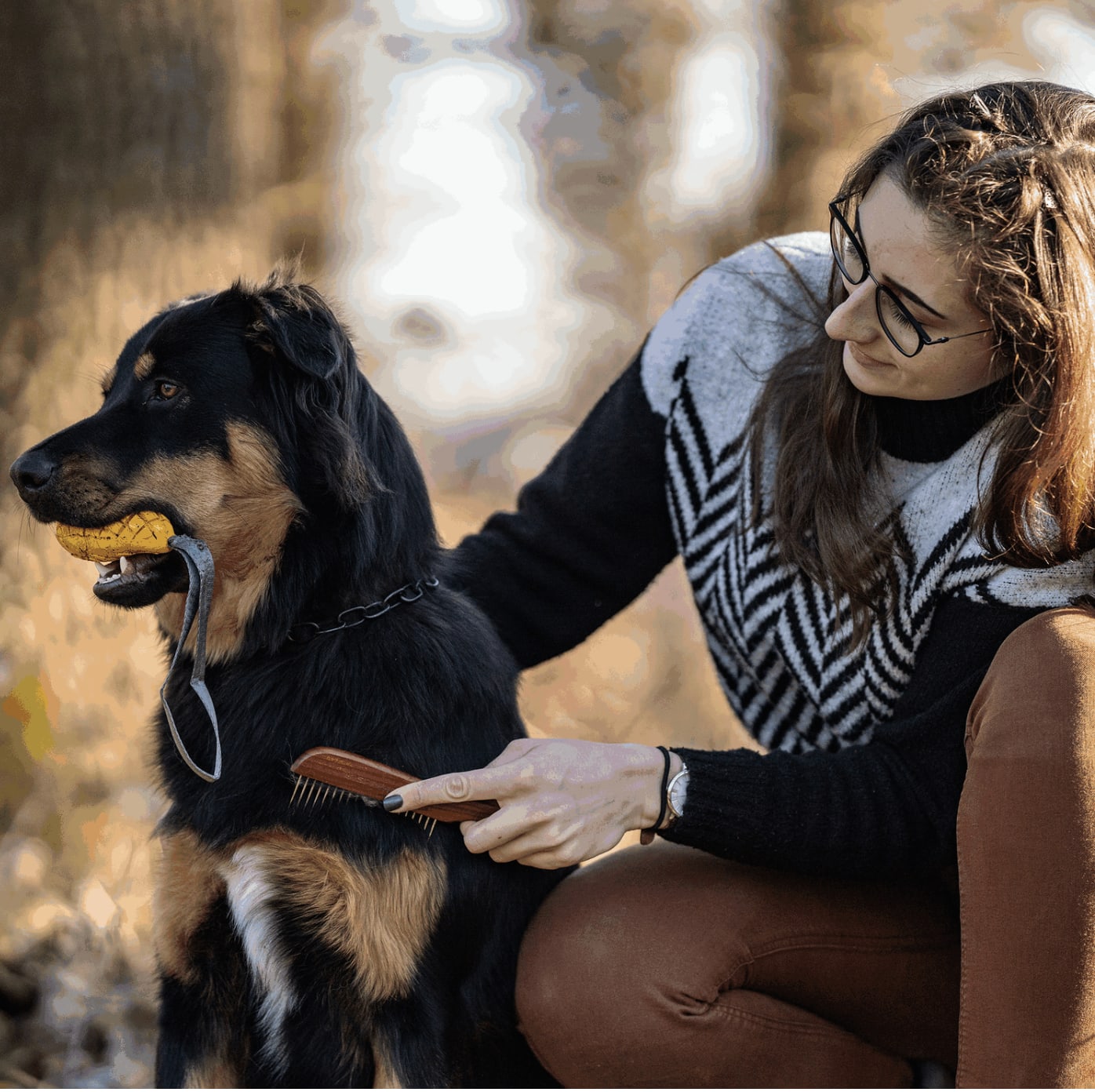 Herm Sprenger Dog comb - 20 mm metal teeth