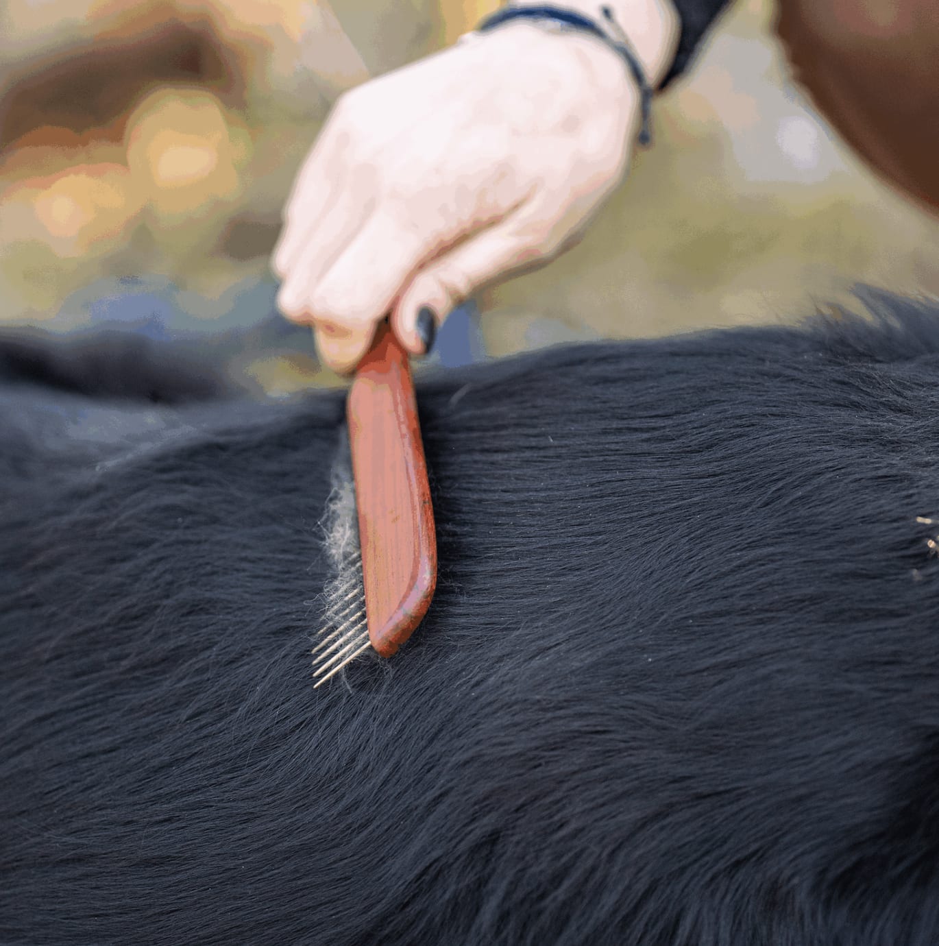 Herm Sprenger Dog comb - 20 mm metal teeth