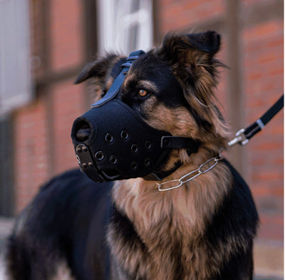 Herm Sprenger - Muzzle - Cordura