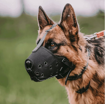 Herm Sprenger - Muzzle - Cordura