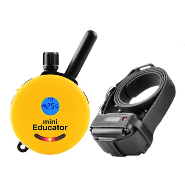 Mini Educator E Collar (Copy)