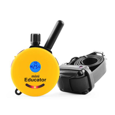 Mini Educator E Collar (Copy)